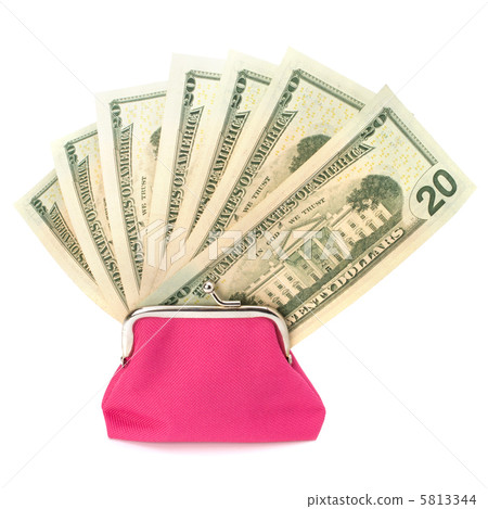 Glamour purse fill with money 5813344