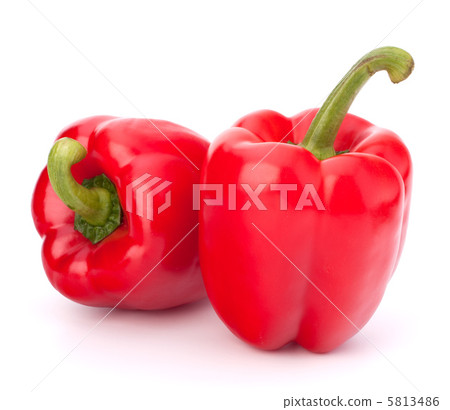 red pepper isolated on white background red pepper isolated on white background 5813486