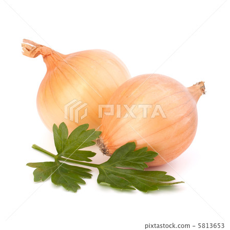 Onion 5813653