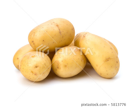 New potato 5813776