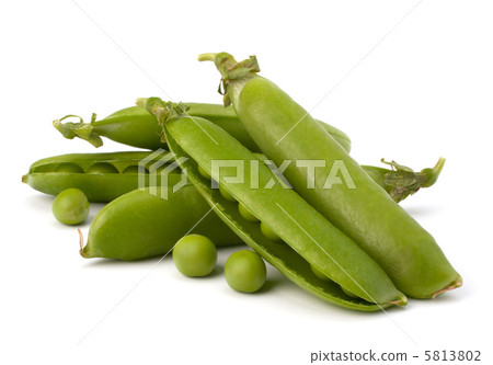 Fresh green pea pod Fresh green pea pod 5813802