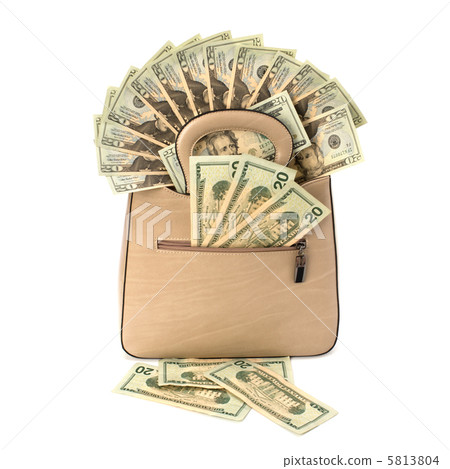 Glamour handbag full with money Glamour handbag full with money 5813804