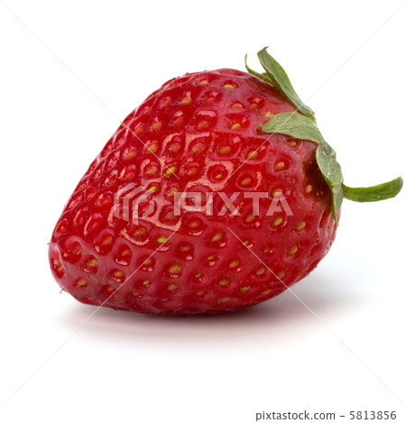 Strawberry 5813856