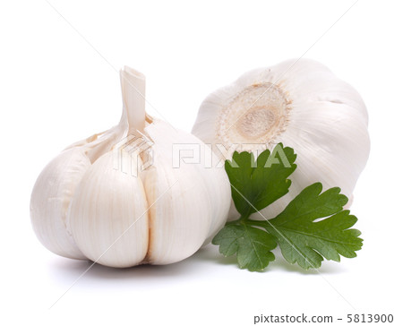 garlic bulb garlic bulb 5813900