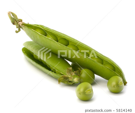 Fresh green pea pod 5814140