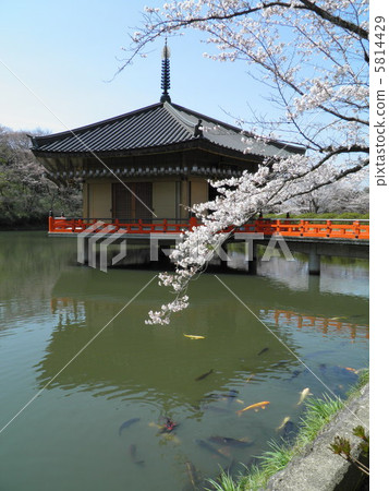 Abbe Bunkado Nomadro（Kanagawa Fukudo） 5814429