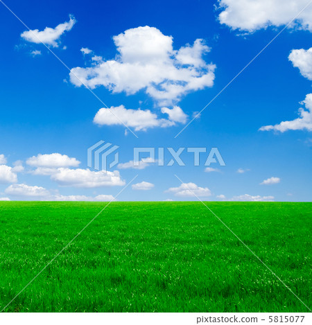 Green field 5815077