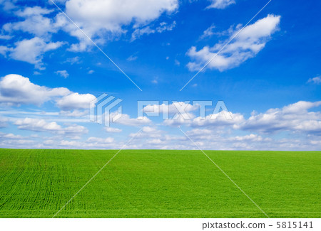 The field 5815141