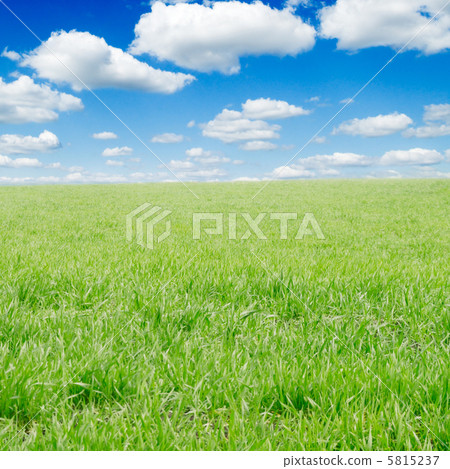 field 5815237