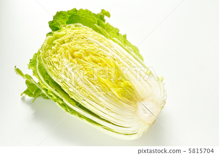 Cabbage Cabbage 5815704