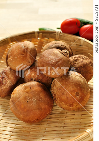 Raw shiitake mushroom 5815731