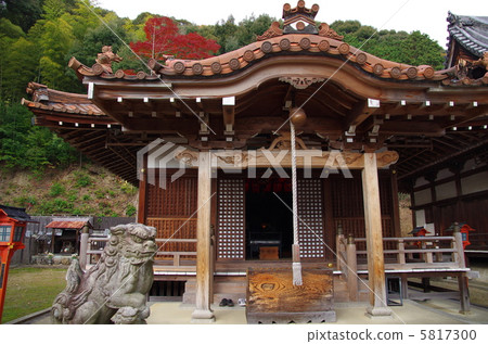 Hojoji Temple Kobuku-mi 5817300