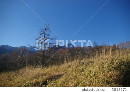 Yatsugatake plateau in autumn 5818271