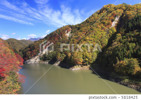 Autumn leaves of Okumo Flower Dam 5818425