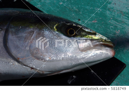 First time First time 5818749