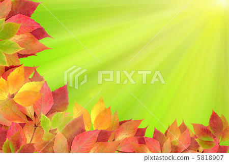 autumn leaves autumn leaves 5818907