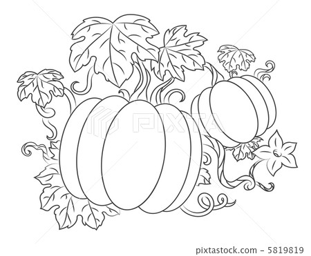 Pumpkins harvest 5819819