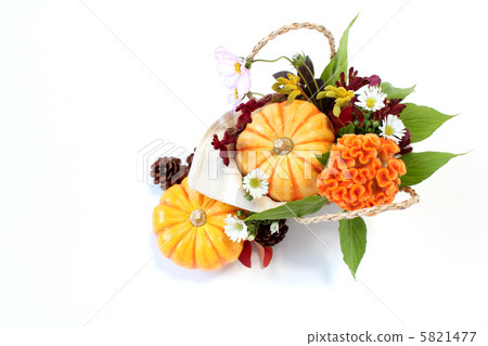 Arrangement of pumpkin and Kaitou 5821477