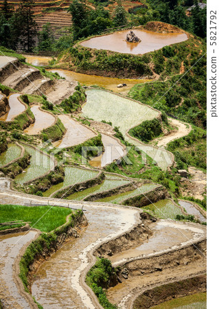 Rice field terraces. Near Sapa, Mui Ne 5821792