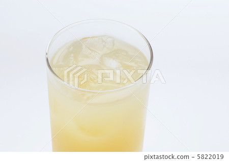 葡萄柚汁 5822019