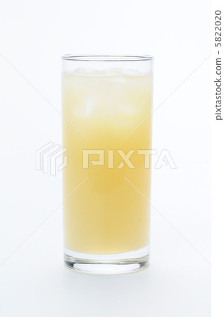 葡萄柚汁 5822020