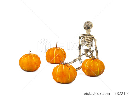 skeleton with a pumpkin 5822101