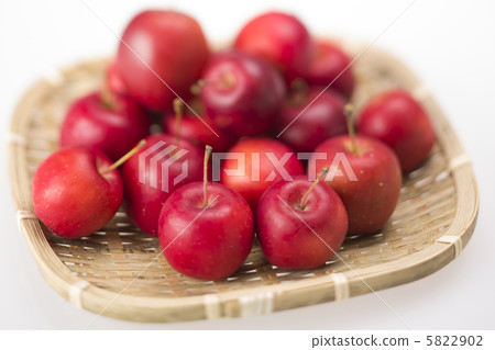 公主蘋果 5822902