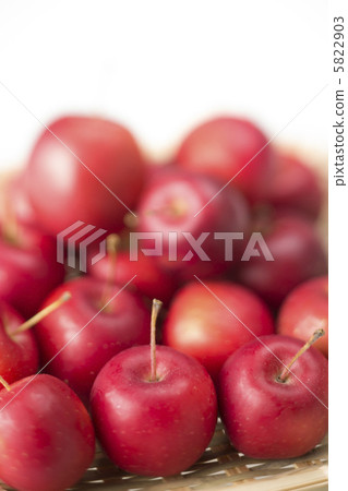 公主蘋果 5822903