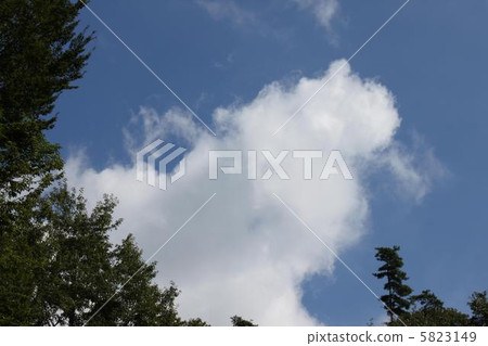 夏日的天空 5823149