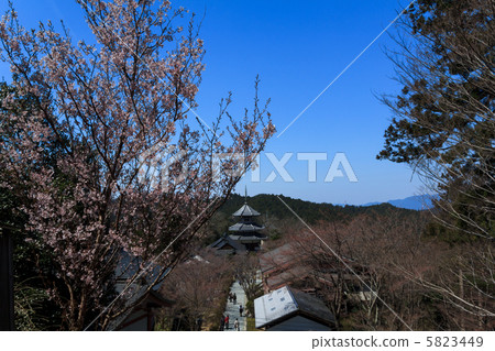 吉野Asumiya網站 5823449