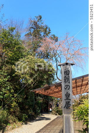 南教皇皇宮的紀念碑 5823451