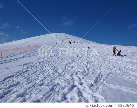 雪山和Aozora 雪山和Aozora 5823646
