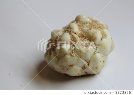 Lily bulb 5823856