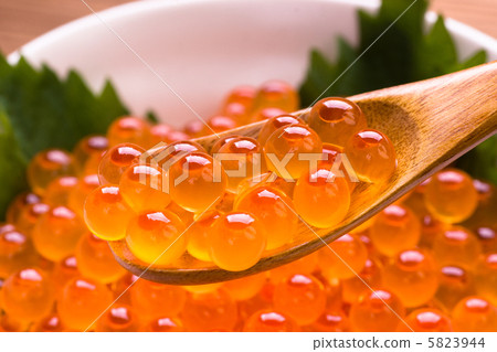 Ikura soaked in soy sauce 5823944