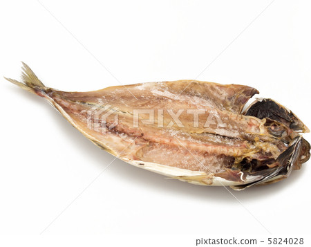 亞洲人乾魚白色背景 5824028