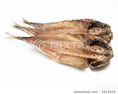 凍結的白色背景 5824029