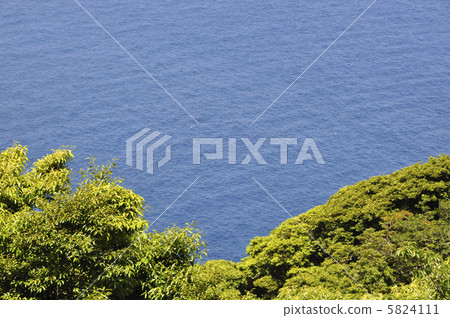 新鮮的綠色和大海 新鮮的綠色和大海 5824111