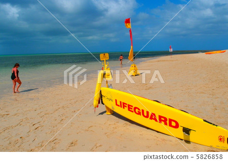 凱恩斯綠色腳趾 凱恩斯綠色腳趾 5826858