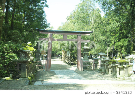 小鳥居和石塔(春日大社/奈良市奈良縣奈良縣奈良縣) 小鳥居和石塔(春日大社/奈良市奈良縣奈良縣奈良縣) 5841583
