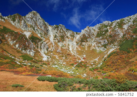 Carl's Fall 5841752
