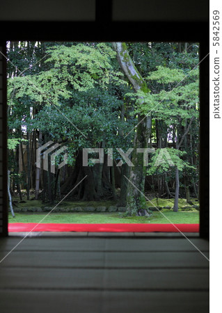 Kaeda Temple Kaede的花園 5842569