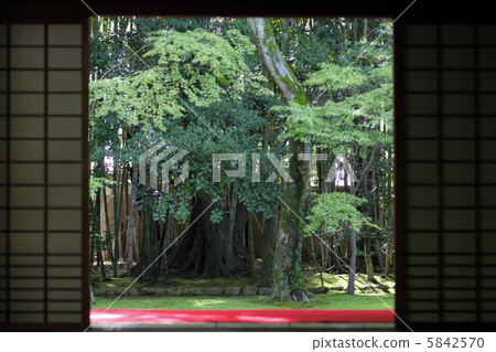 Kaeda Temple Kaede的花園 5842570