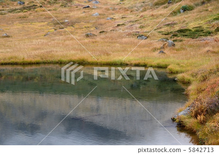 Asahidake, the mirror foliage of the mirror pond Asahidake, the mirror foliage of the mirror pond 5842713