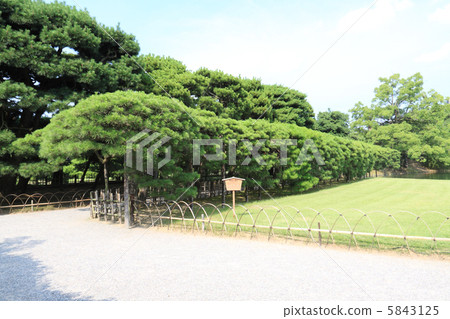 高松市Kuribayashi公園“Hakkamatsu折疊折疊” 5843125
