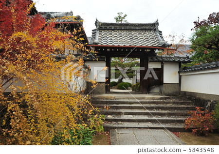Fall of Kyoto Sannoudie-in 5843548