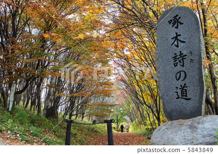Autumn Takubi poetry road Autumn Takubi poetry road 5843849