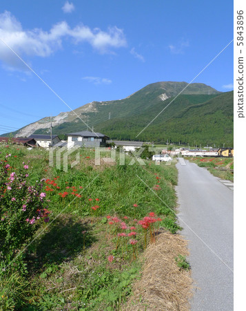 Ibukiyama in the fall from the south 5843896