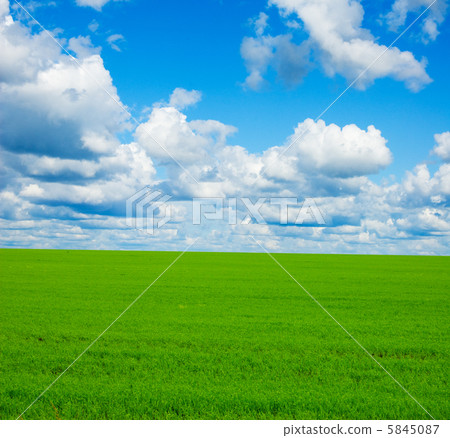 summer landscape summer landscape 5845087