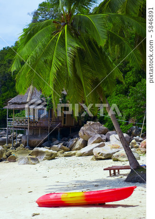 Paradise beach 5846891