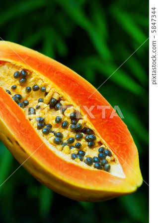 papaya papaya 5847344